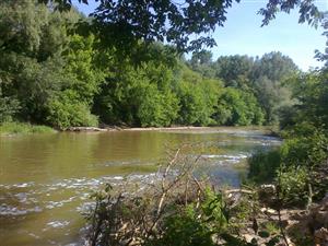 Rieka Nitra, južne od vodného stupňa Zúgov, južne od MVE, pri meste N.Zámky. Foto: 29.5.2015, J.Lengyel.