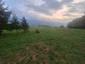 Vrana popolavá (23.5.2026)