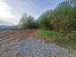 trasochvost biely (23.5.2026)