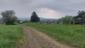 trasochvost biely (19.5.2026)