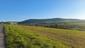 Škovránik stromový (19.5.2026)