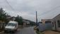 penica hnedokrídla (obyčajná) (19.5.2026)