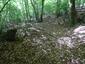 Žltochvost lesný ( hôrny) (26.5.2026)