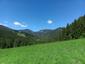 Včelár lesný (včelár obyčajný) (28.5.2026)