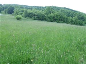 Pohľad na lokalitu (druhá časť)