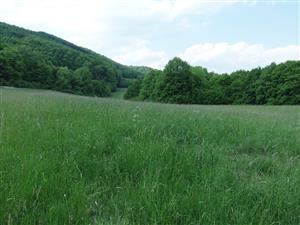 Pohľad na lokalitu (tretia časť)