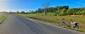 trasochvost biely (19.5.2026)