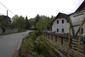 Pinka lesná (19.5.2026)