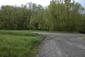 brhlík lesný (obyčajný) (19.5.2026)