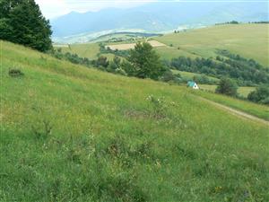 Pohled na cílový biotop a okolní krajinu ve směru JV od zadaných souřadnic
