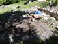 jašterica bystrá (9.5.2015)