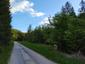 Pinka lesná (30.5.2026)