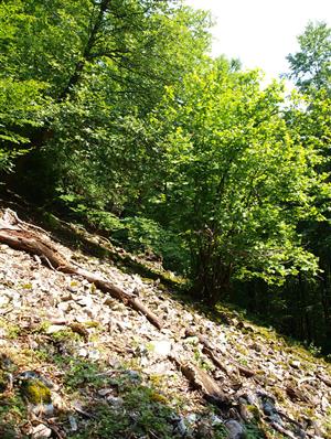 pohľad na lokalitu 4