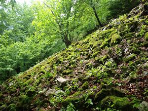 pohľad na lokalitu 6