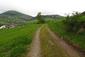 Vrana popolavá (13.5.2026)