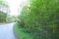 trasochvost biely (13.5.2026)