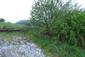 trasochvost biely (13.5.2026)