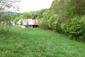 Orešnica perlavá (13.5.2026)
