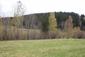 trasochvost biely (1.5.2026)