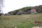 trasochvost biely (1.5.2026)