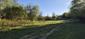 trasochvost biely (26.5.2026)