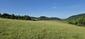trasochvost biely (26.5.2026)
