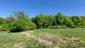 Škovránik stromový (22.5.2026)
