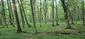 trasochvost biely (30.5.2026)