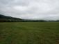 trasochvost biely (9.5.2026)