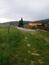 trasochvost biely (30.5.2026)