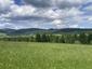 krkavec čierny (8.6.2026)