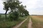 sokol červenonohý ( kobcovitý) (10.6.2026)