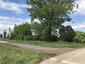 Muchárik čiernohlavý (18.5.2026)