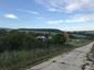 Škovránik stromový (18.5.2026)