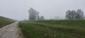 trasochvost biely (31.5.2026)