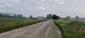 Žltochvost lesný ( hôrny) (31.5.2026)