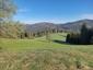 Orešnica perlavá (19.5.2026)