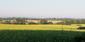 Sýkorka veľká ( bielolíca) (10.5.2026)