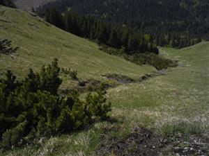 pohľad na TMP1- na vrchu strže