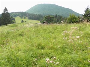 nespasany okraj centralnej casti lokality