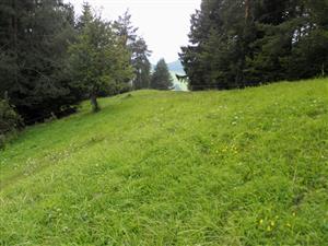 zapadny okraj hornej casti lokality