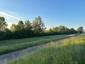 trasochvost biely (20.5.2026)
