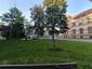 Žltochvost lesný ( hôrny) (24.5.2026)