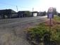 trasochvost biely (2.5.2026)