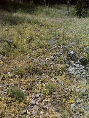 Záber na monitorovaný biotop.