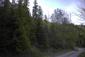 trasochvost biely (5.5.2026)