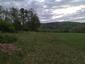 trasochvost biely (7.5.2026)