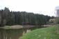 trasochvost biely (24.5.2026)
