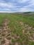 Hýľ lesný (obyčajný) (30.5.2026)