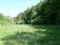pimprlík mokraďový (19.5.2015)